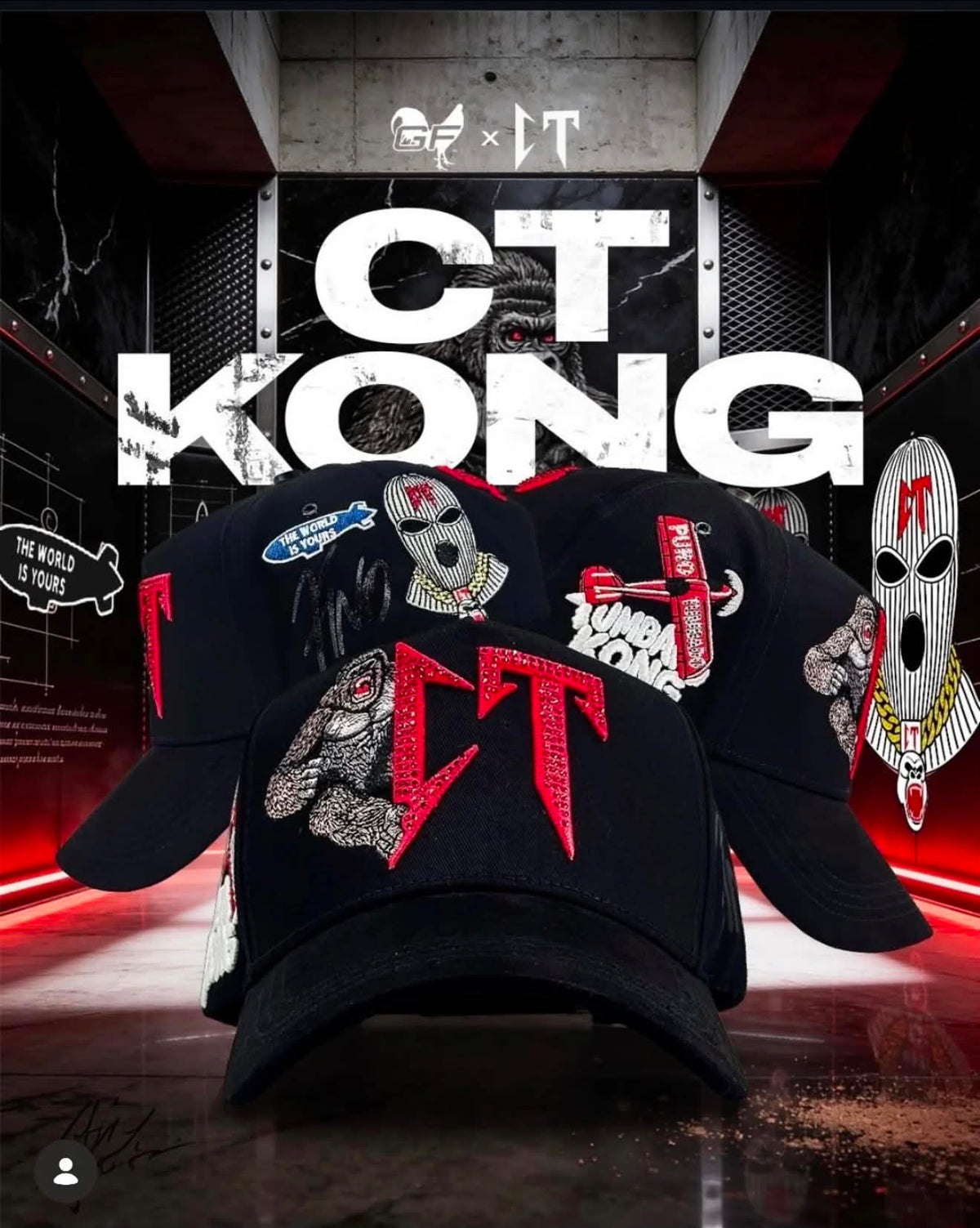 CT KONG (GALLO FINO)